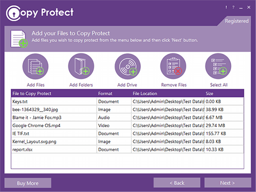 Copy Protect add-files screen with mixed training-media examples