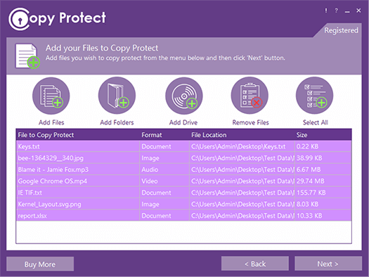Copy Protect file-selection screen with selected package inputs